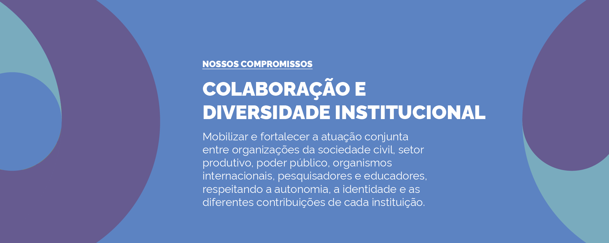 Colaboração e Diversidade Institucional