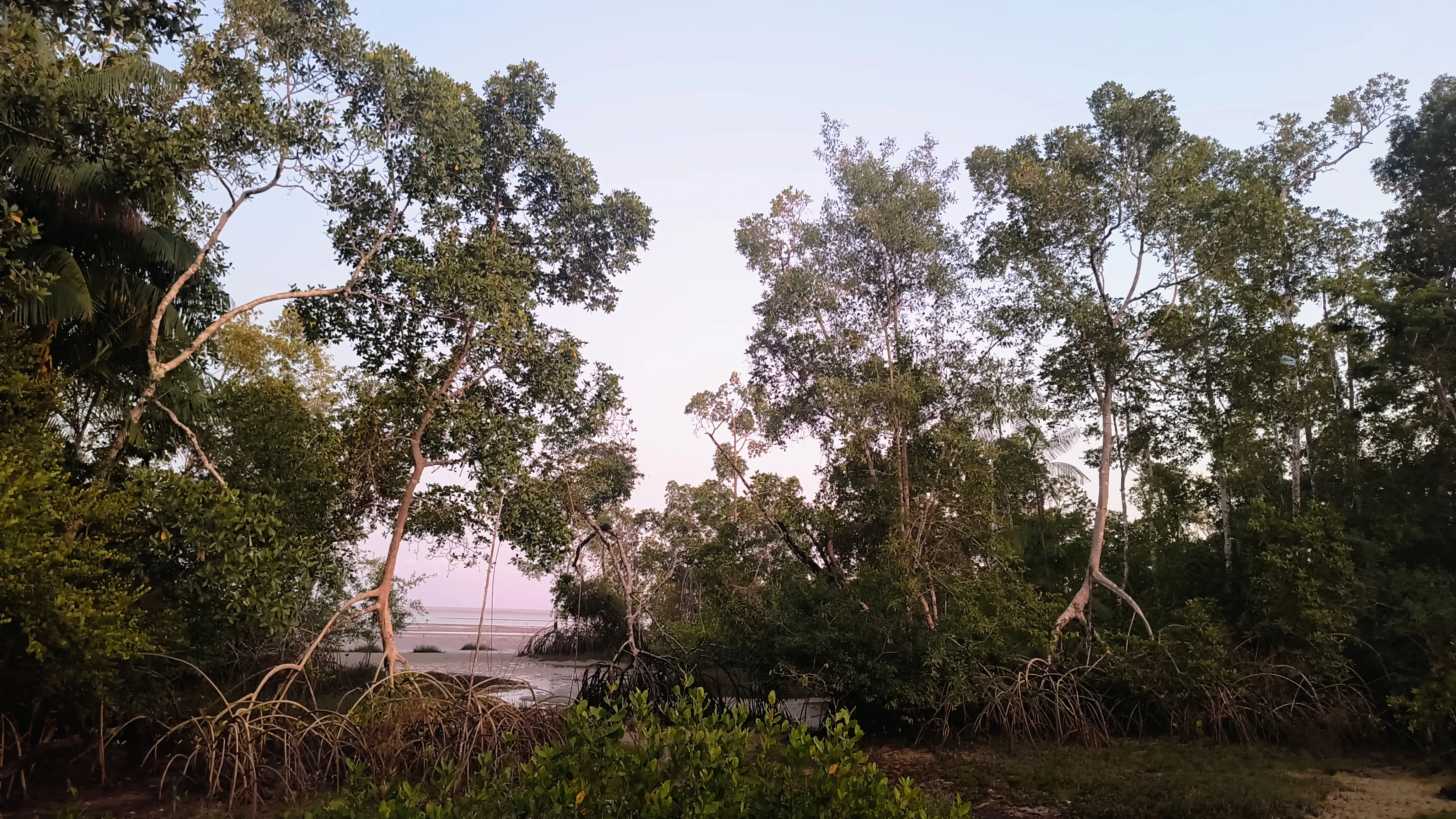 Ilha de Santa Cruz, um pequeno povoado entre as ilhas de Caratateua e Mosqueiro, no Pará. Foto: Priscila Cobra
