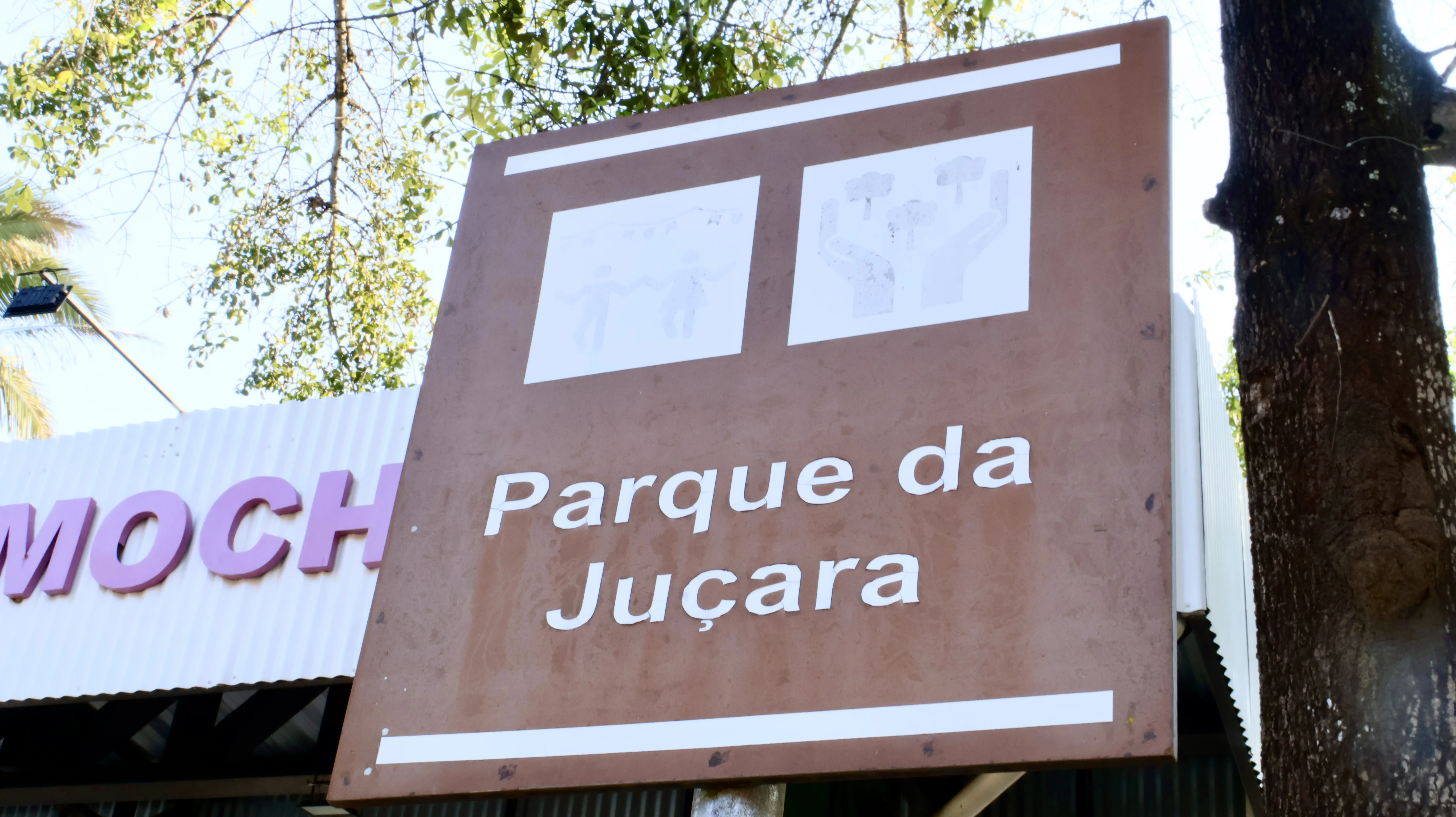 Parque da Juçara, local que reúne vendedores de juçara e onde é celebrada a Festa da Juçara.