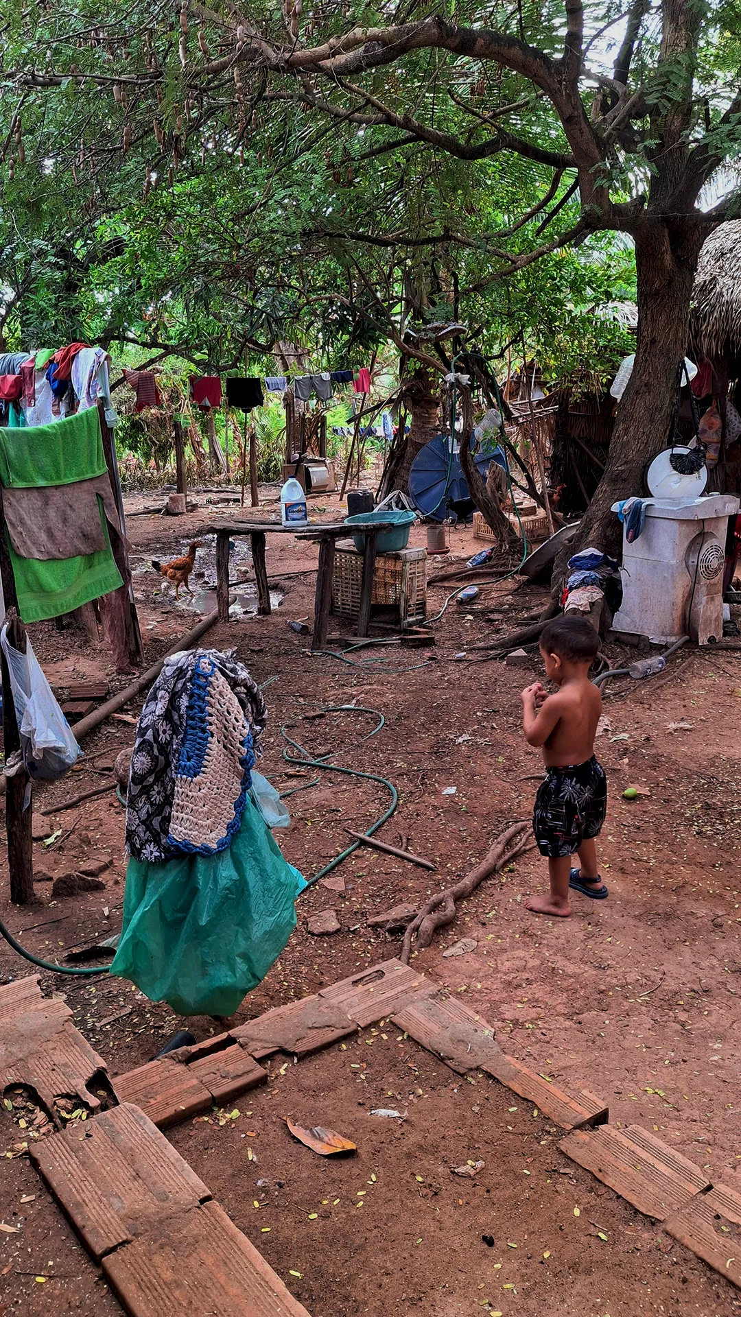 Quintal da casa de Vaim, um dos líderes comunitários no Quilombo Onça. Foto: Katherine Martins