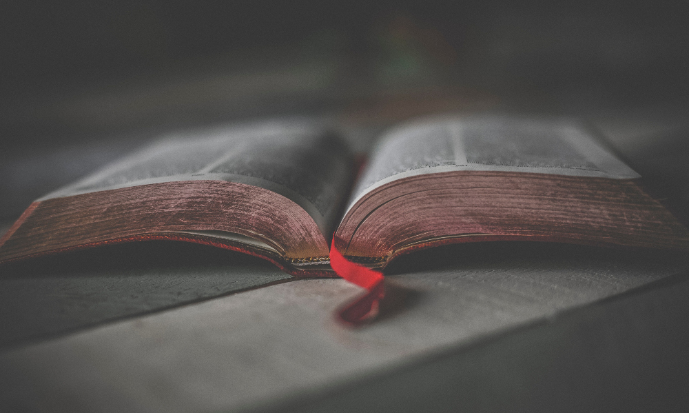 Um livro aberto na metade, com um marcador de página vermelho.