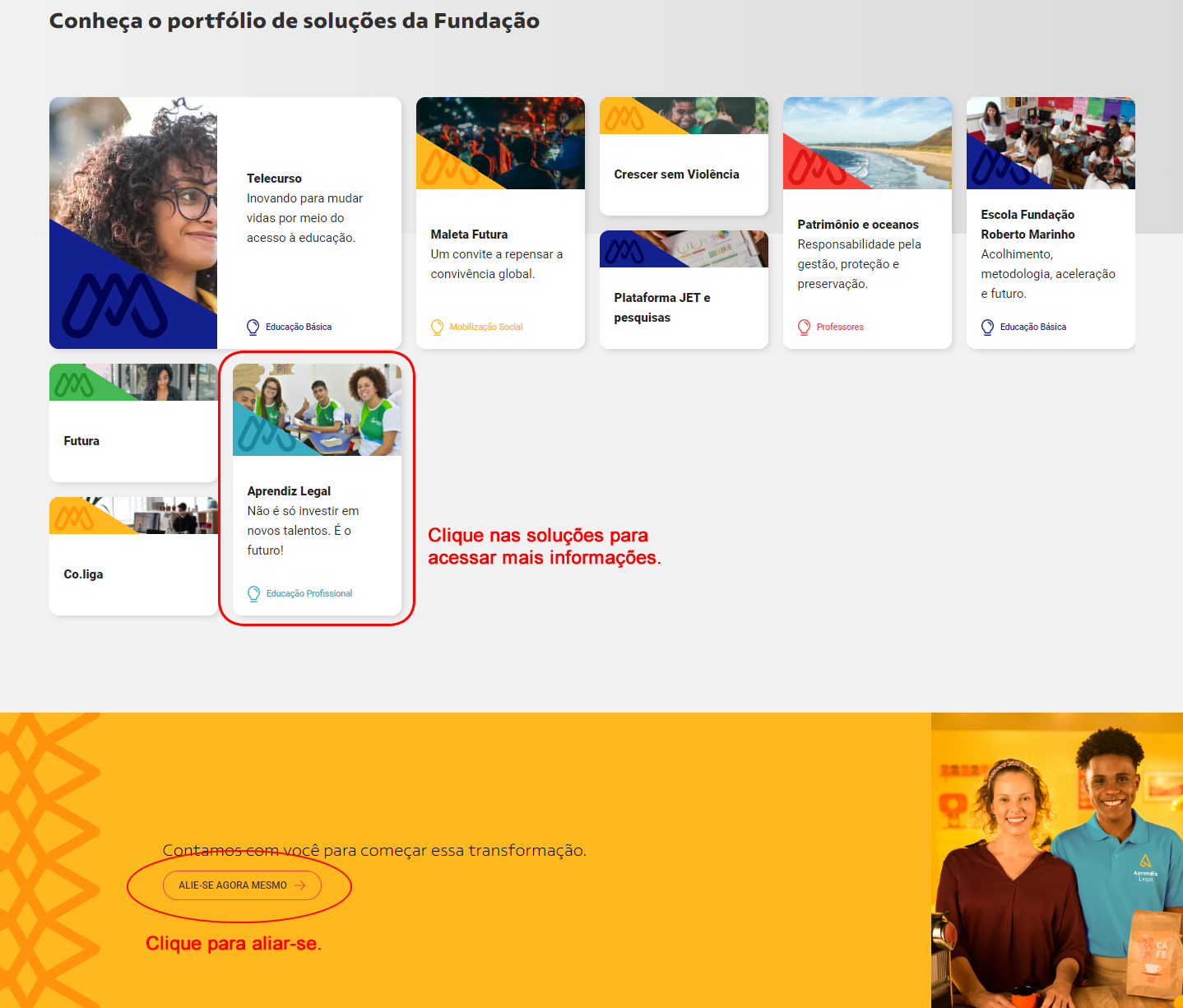 print de tela do Portal FRM destacando o portifólio de soluções e o botão para aliar-se
