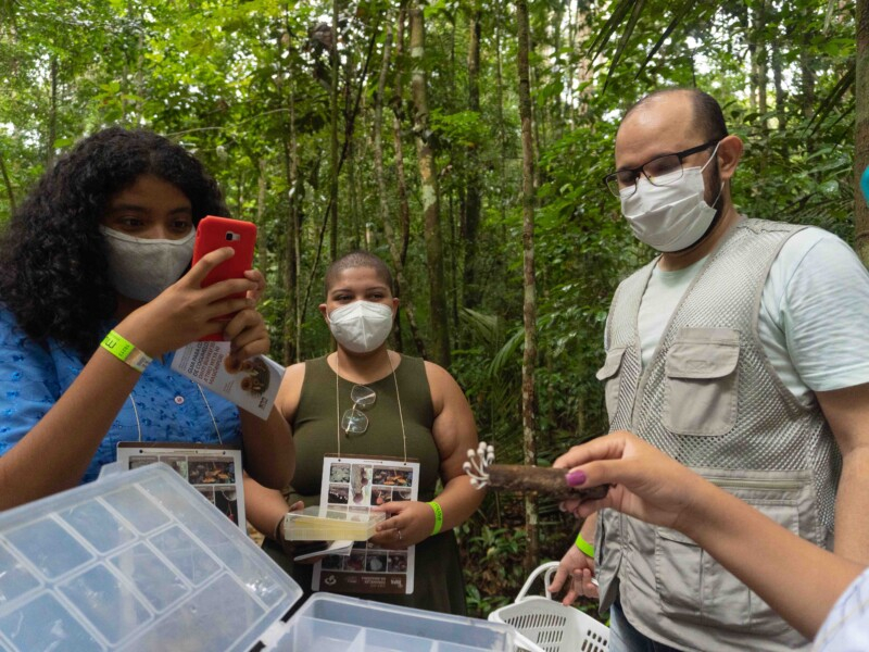 Jovens pesquisadores e pesquisadoras durante o micoturismo. (Foto: divulgação)