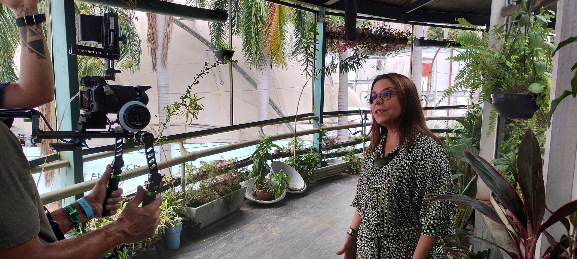 Uma mulher dá entrevista a um operador de câmera. Ao fundo plantas.