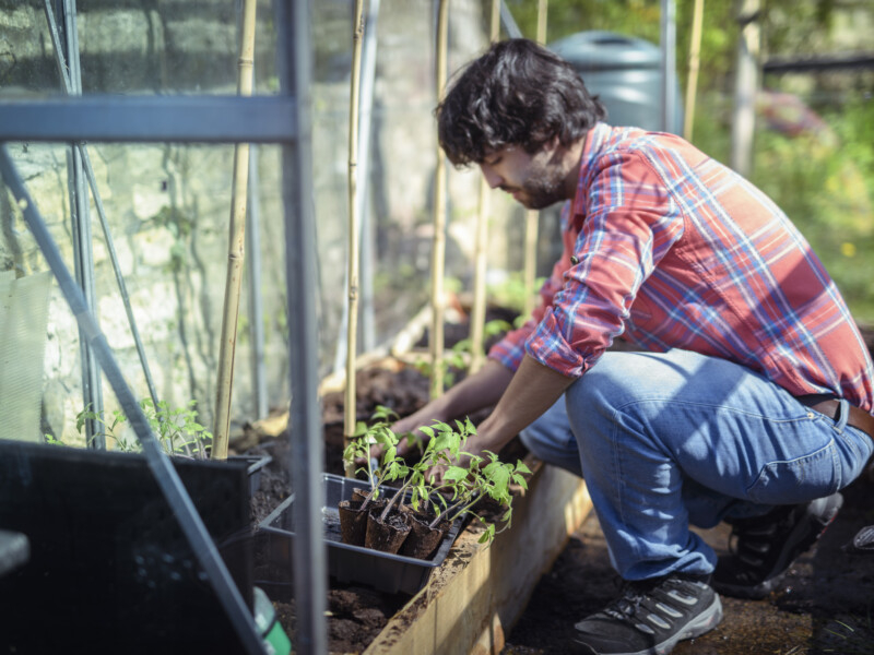 Um homem branco está agachado plantando alguma coisa, que pode ser uma árvore ou uma planta menor mesmo