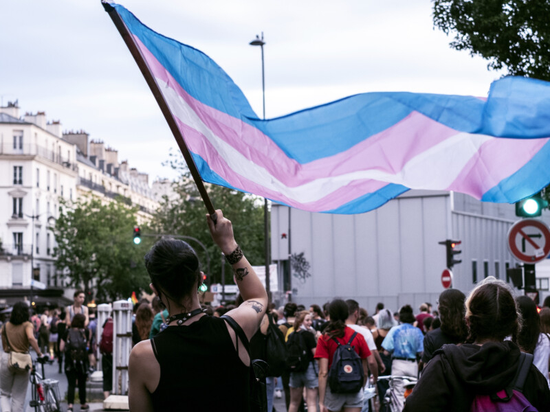 Grupo de jovens está na rua protestando pelos direitos da pessoa transgênera. A bandeira do orgulho trânsgenero está em primeiro plano na imagem