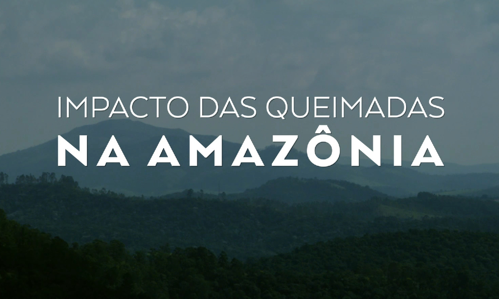 A frase "Impacto das queimadas na Amazônia" está escrito em branco em uma arte mostrando a floresta da amazônia ao fundo, num tom acizentado