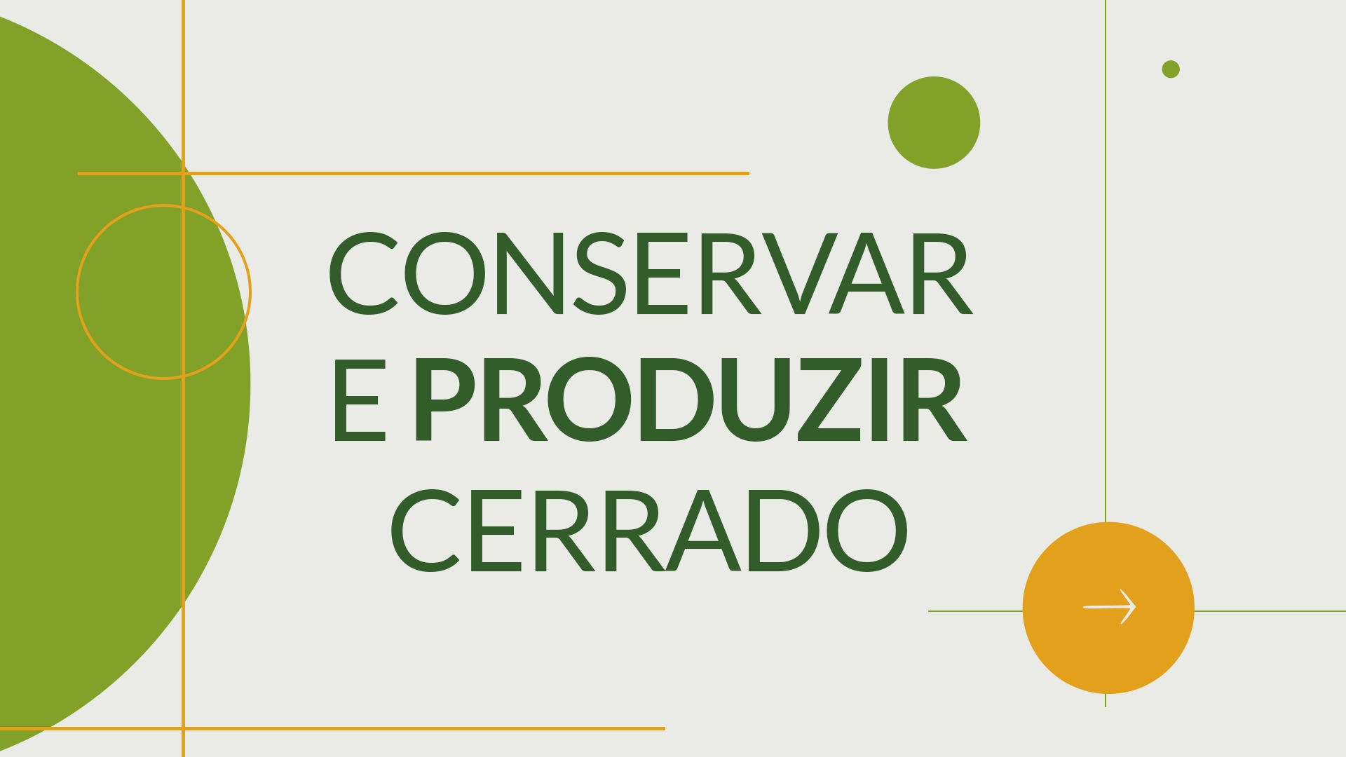 Fundo branco, com o nome do programa escrito sobre ele, em verde.