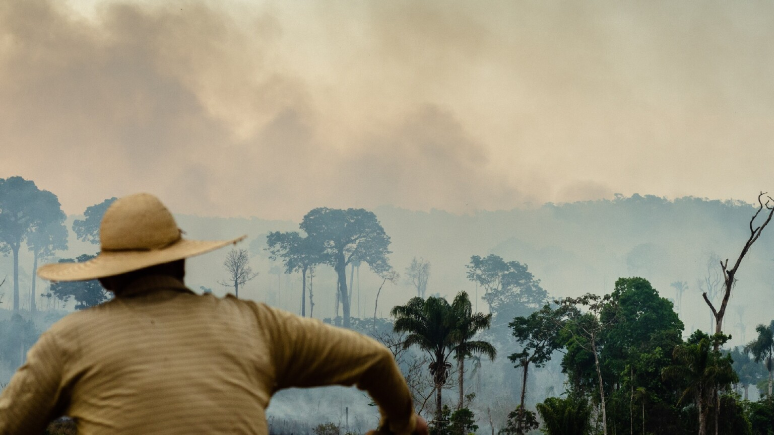 Imagem de um homem de costas, usando chapéu de palha, observado à distância uma fumaceira que parece vir ser resultado de um incêndio florestal