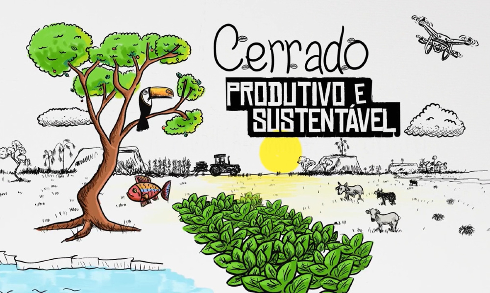 Imagem em formato de desenho de um típico bioma de cerrado, mostrando uma árvore com poucas folhas e um tucano, uma vegetação baixa no solo e o sol ao fundo