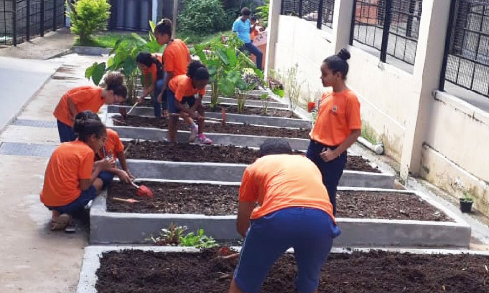Crianças estão uniformizadas e mexendo em uma pequena horta, plantando alguma coisa