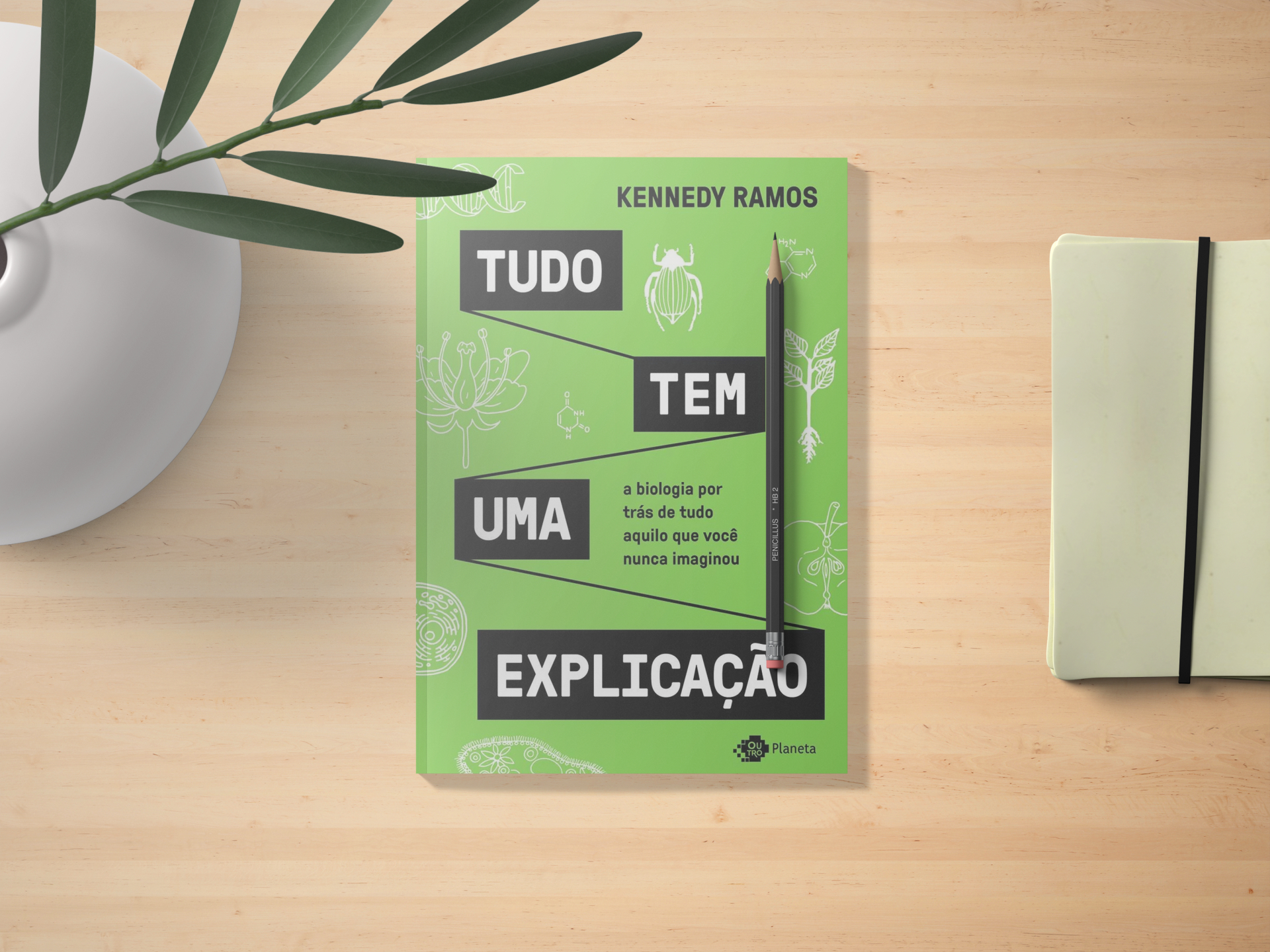 Capa verde do livro Tudo Tem Uma Explicação