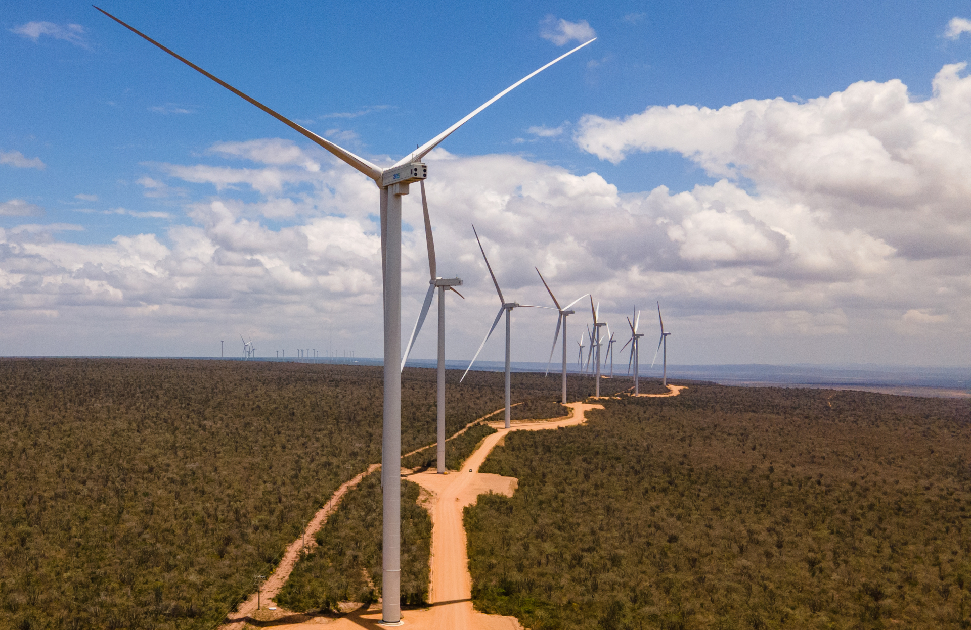 A foto mostra moinhos de vento em meio a uma floresta