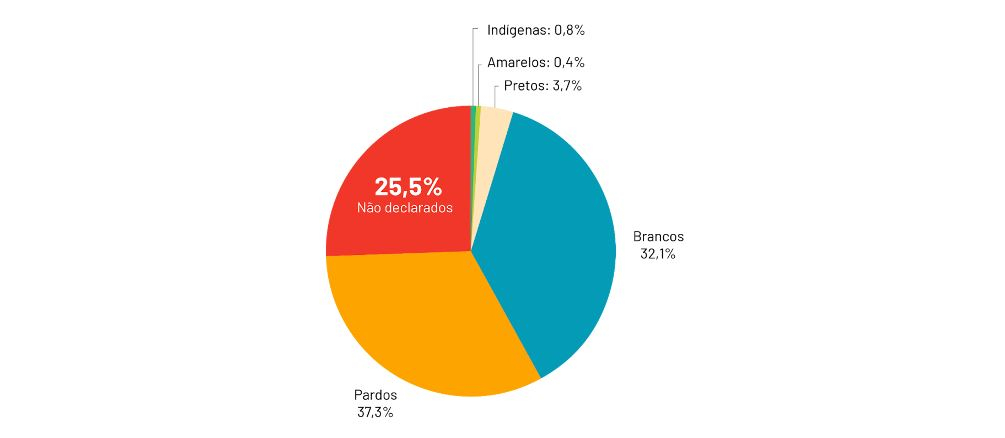 Um gráfico redondo com cores diferenciando os dados que a matéria aborda.