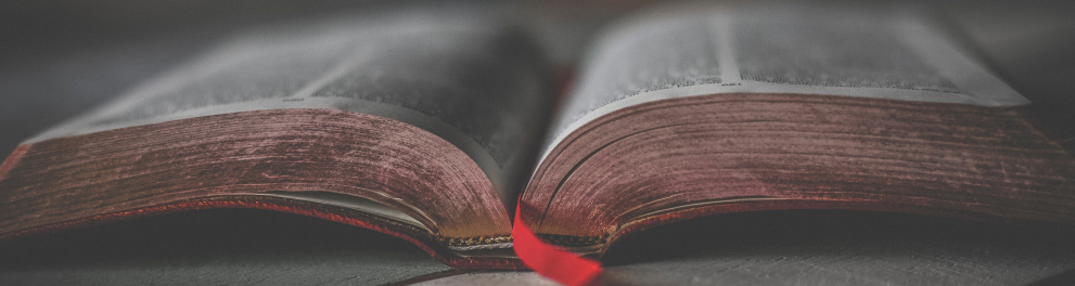 Livro aberto na metade, com marcador de página vermelho.