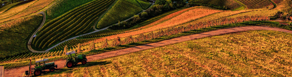 Uma montanha tem seu solo explorado pela atividade agrícola. Há dois tratores na base da imagem.