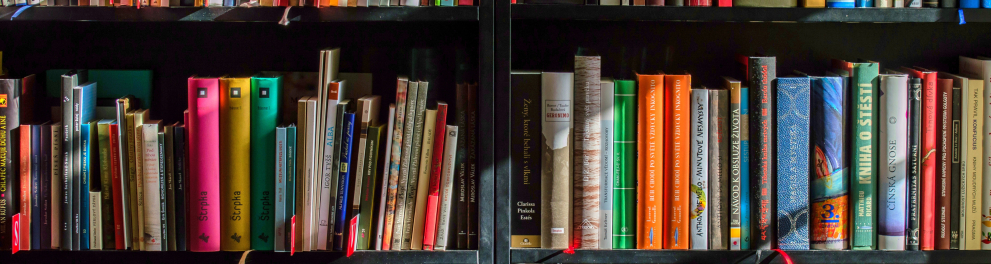 Uma estante com livros