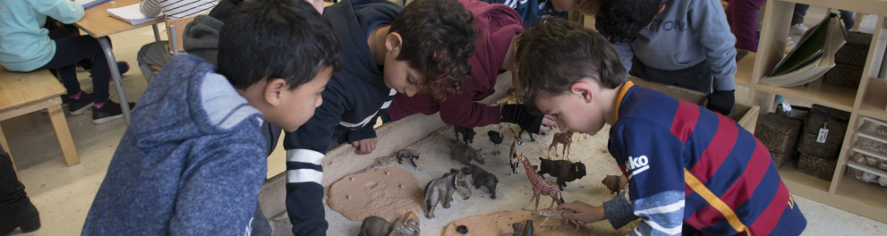 Crianças estão em uma sala em que miniaturas de dinossauros estão sobre um chão com areia e são observadas por elas.