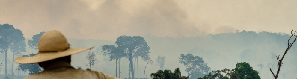 Imagem de um homem de costas, usando chapéu de palha, observado à distância uma fumaceira que parece vir ser resultado de um incêndio florestal