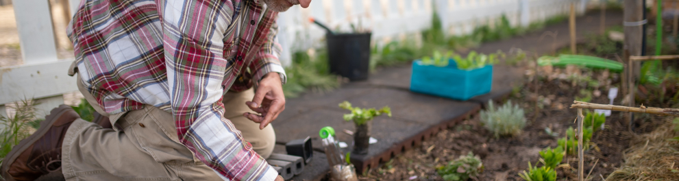 Um homem branco está agachado plantando alguma coisa, que pode ser uma árvore ou uma planta menor mesmo