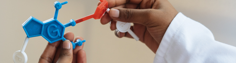 Imagem das mãos de uma pessoa negra segurando objetos coloridos de plástico que simulam uma cadeia de genes, uma espécie de organograma em 3D