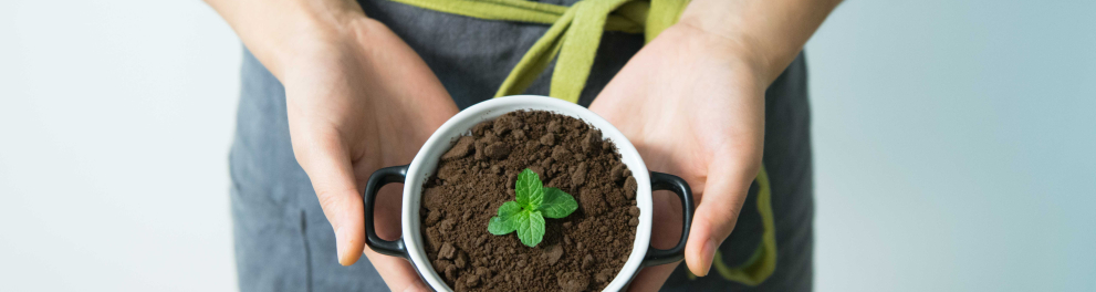 Close em um pequenino vaso com terra e uma plantinha verde surgindo no centro da terra. O vasinho branco está sendo seguro por duas mãos brancas femininas