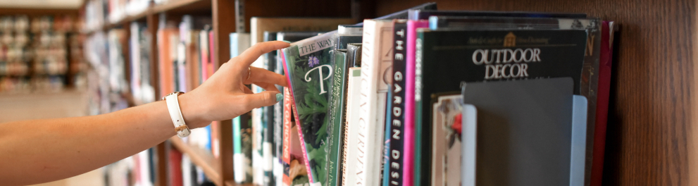 Imagem mostra estante de livros