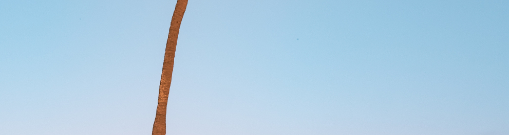 Imagem mostra uma visão paradisíaca