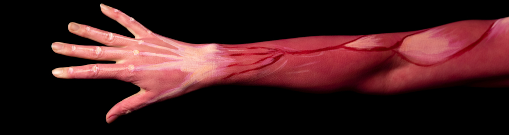 Um braço humano à frente de um fundo todo preto. O braço está pintado representando a musculatura da anatomia humana