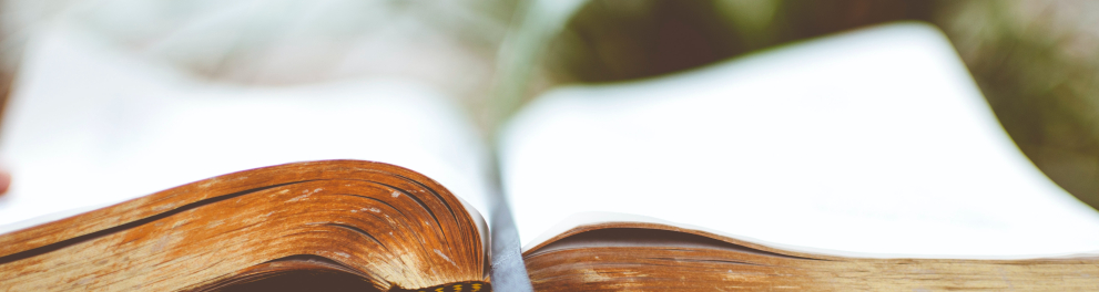 Um livro aberto à frente de um fundo desfocado ao ar livre