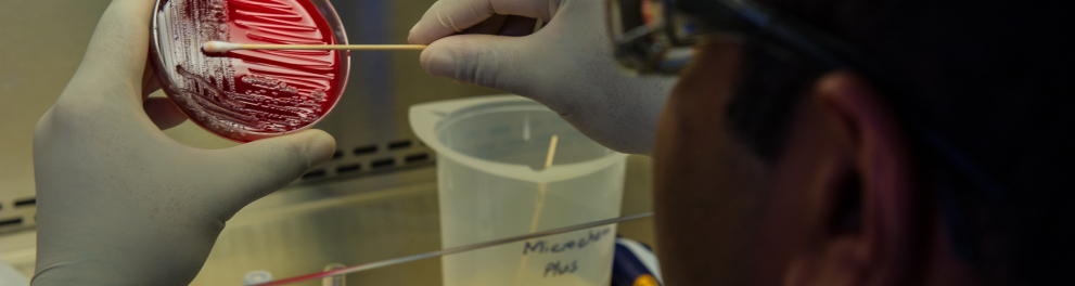 Uma amostra de sangue está sendo analisada em um laboratório