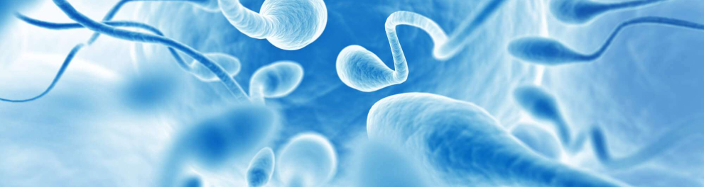 Imagem animada de vários espermatozoides em azul e branco