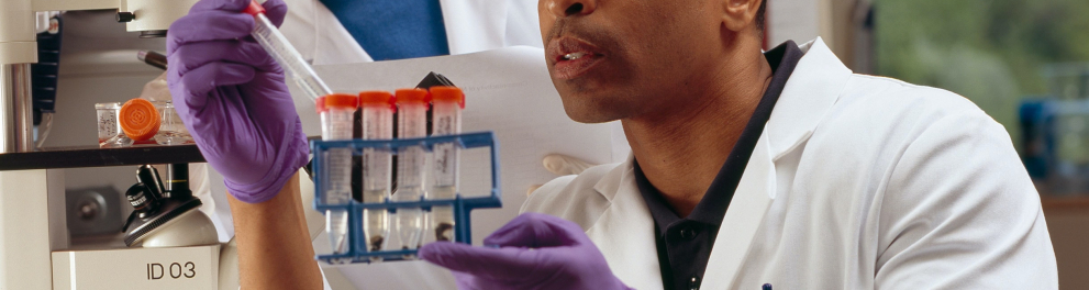 Dois cientistas estão em um laboratório usando jalecos e luvas e analisando recipientes com líquidos