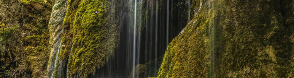 Uma pequena cachoeira está banhando uma vegetação verde e rala, como musgos mesmo