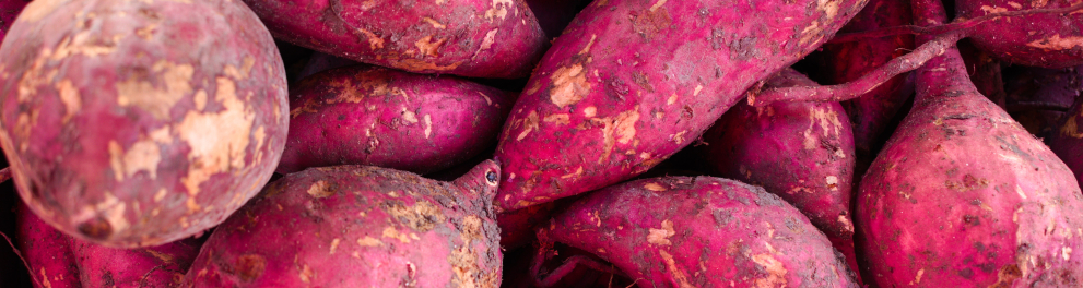 Várias batatas doces