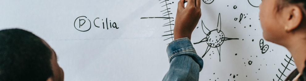 Um aluno está escrevendo algo no quadro enquanto é observado pela professora. Podemos observar que é algo sobre biologia