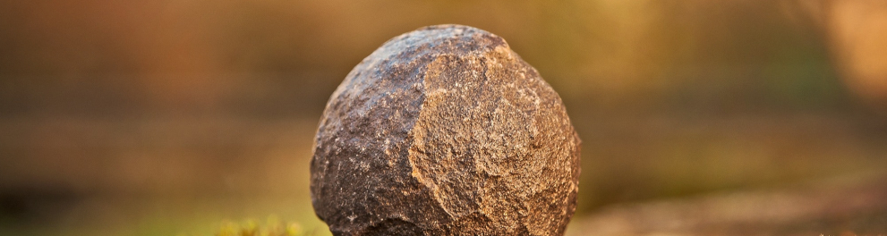 Uma pedra