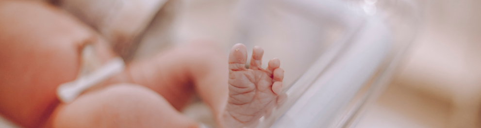 A imagem mostra um bebê recém-nascido