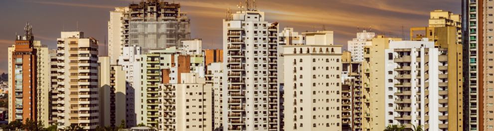 Parte da cidade de São Paulo vista de cima