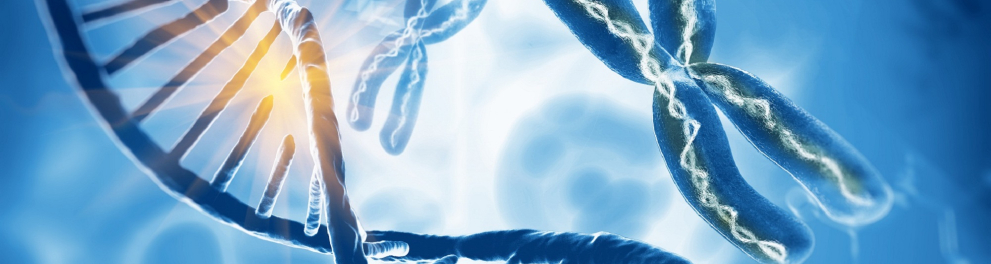 Imagem computadorizada de cromossomos X num fundo azul