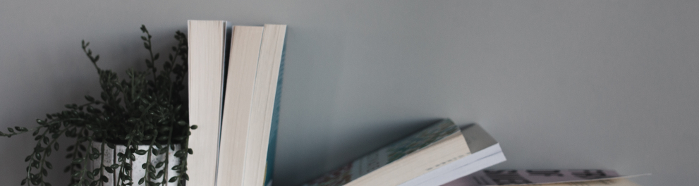 Livros ao lado de um pequenino vaso de plantas em cima de uma estante