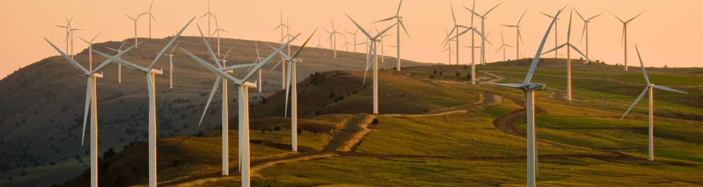 Imagem de vários cata-ventos brancos no meio de um campo verde ao ar livre