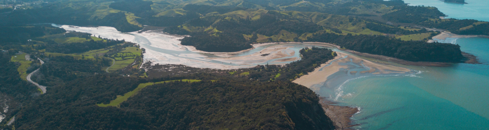 Imagem aérea de uma paisagem natural belíssima da Nova Zelândia, com mar, vegetação vasta e um sol