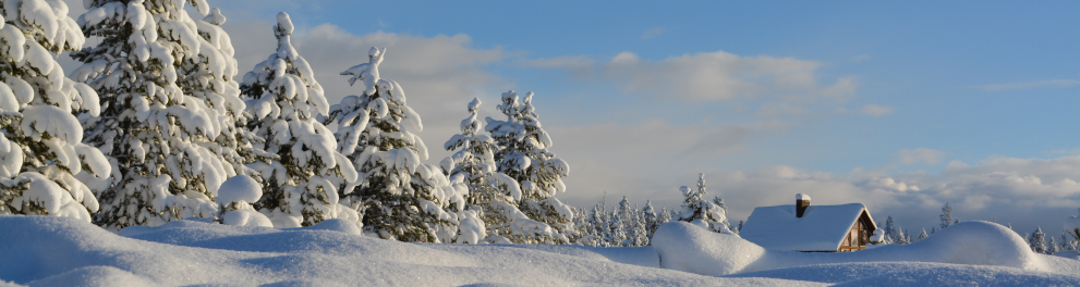 Uma paisagem de uma região fria, com o chão todo nevado, árvores com as folhas já brancas de neve também e uma casinha ao fundo com o telhado coberto de neve