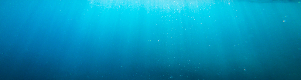 Imagem subaquática de um mar