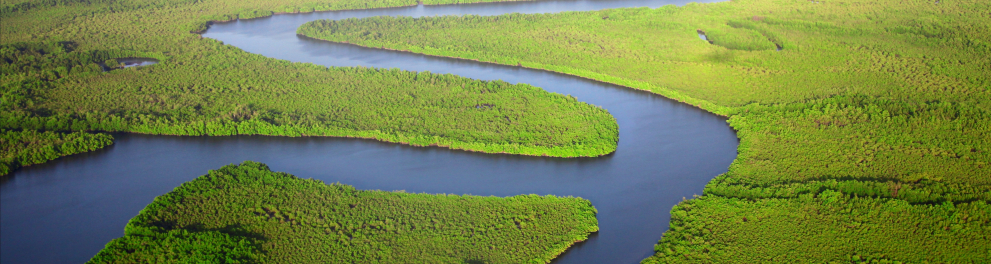 Imagem aérea de um rio muito extenso com várias vegetações em suas beiras