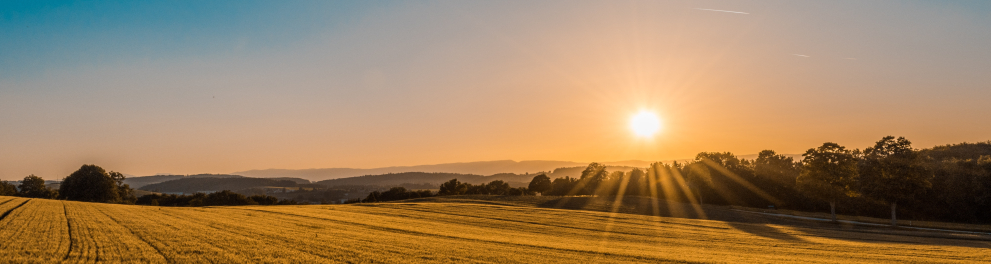 Imagem de um campo com vegetação bem ralinha e o sol nascendo lá ao fundo da imagem, no ceú