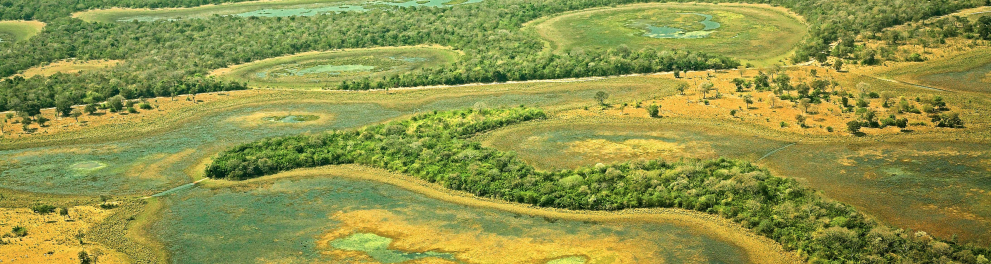 Imagem aérea do Pantanal brasileiro no Mato Grosso e Mato Grosso do Sul