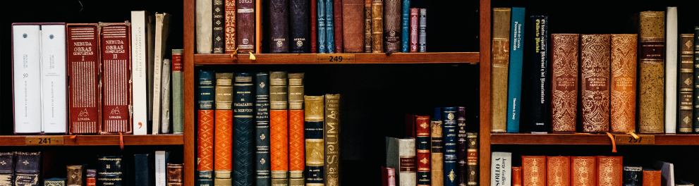 Prateleiras de uma biblioteca repleta de livros