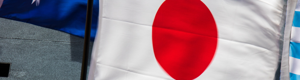 Bandeiras de alguns países estão aglomeradas. Podemos observar as bandeiras de Japão, Austrália, Nigéria, Argentina, Luxemburgo, Dinamarca, Bélgica, entre outras.